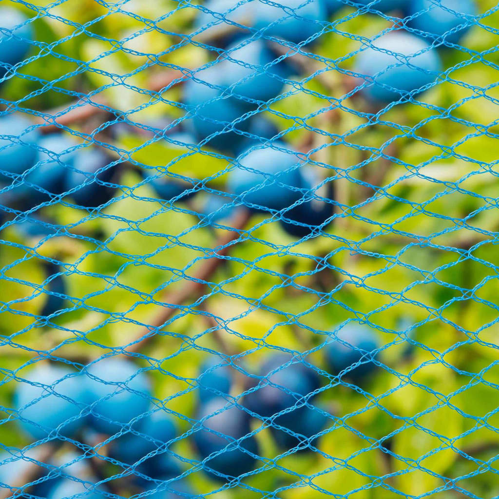 Vogelschutznetz Nano 10 x 4 m Blau