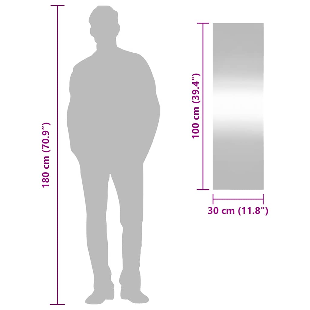 Wandspiegel 30x100 cm Glas Rechteckig