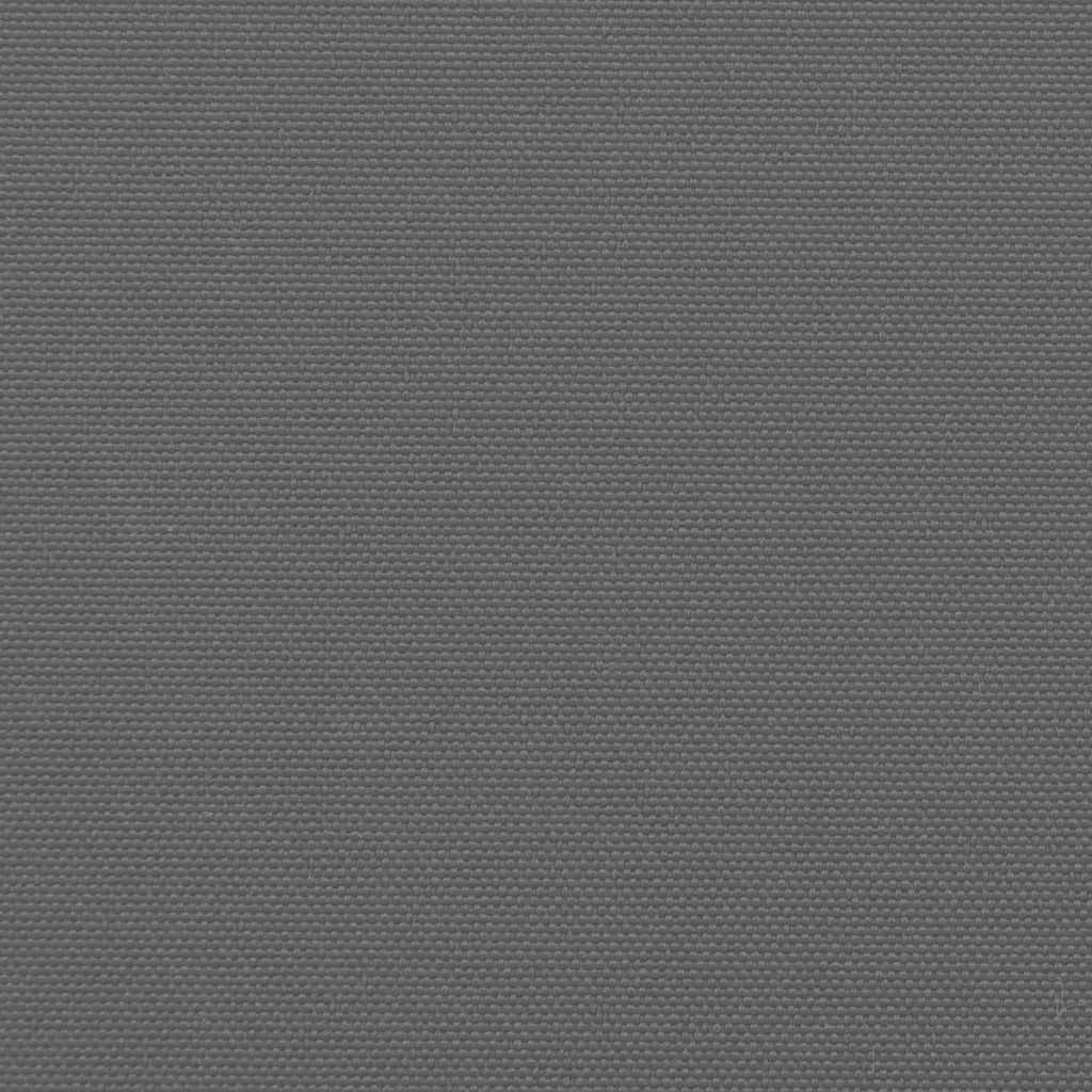 Seitenmarkise Ausziehbar Anthrazit 220x500 cm