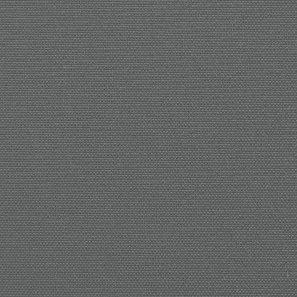 Ausziehbare Seitenmarkise Anthrazit 120x600 cm