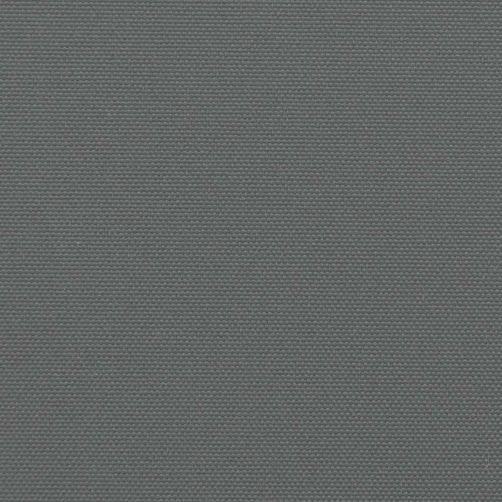 Seitenmarkise Ausziehbar Anthrazit 200x600 cm