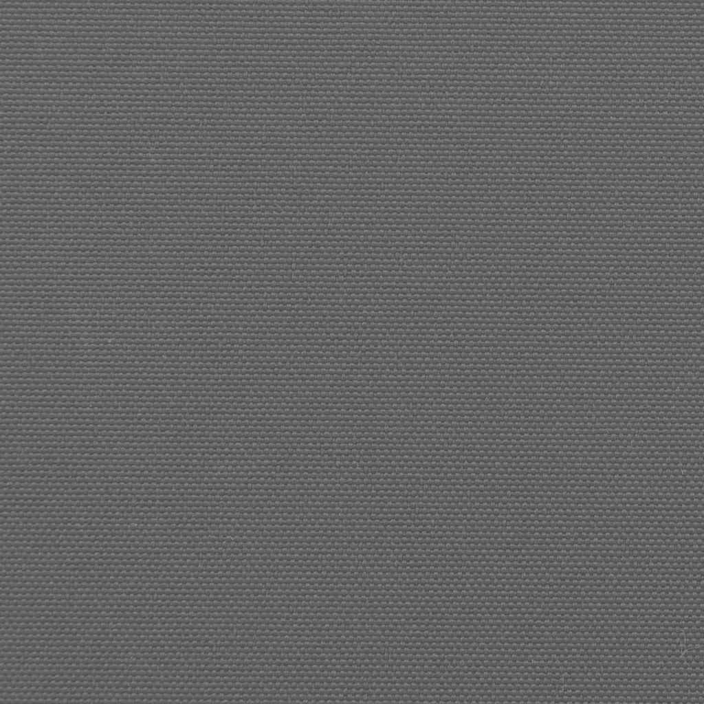 Seitenmarkise Ausziehbar Anthrazit 220x600 cm