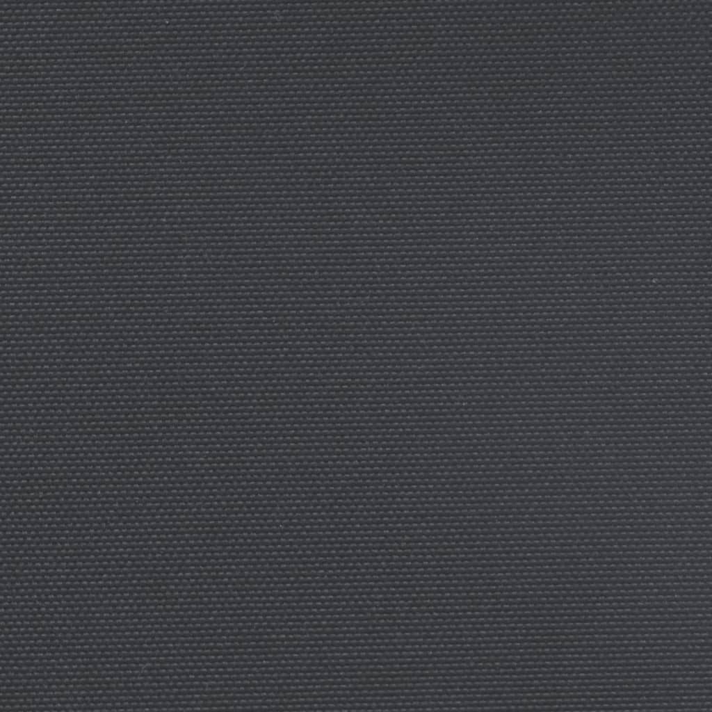 Seitenmarkise Ausziehbar Schwarz 200x1000 cm
