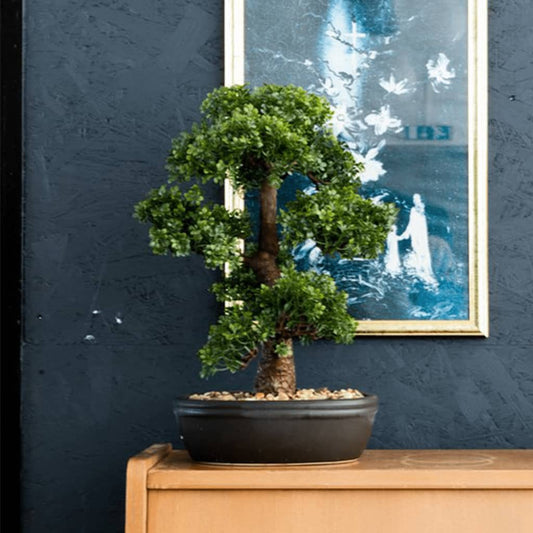 Künstliches Mini-Bonsai Ficus in Brauner Schale 43 cm