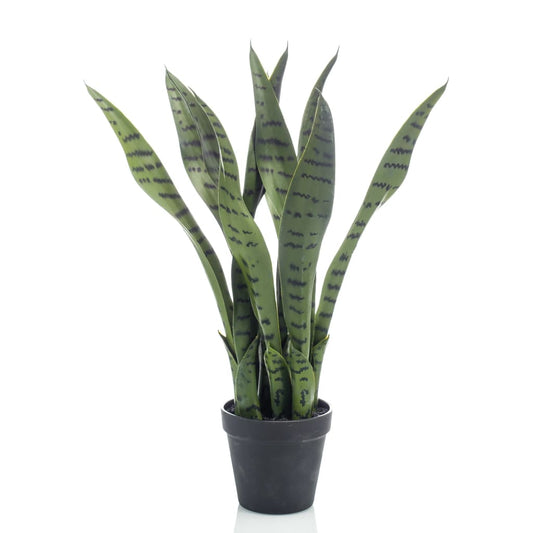 Sansevieria Bogenhanf Künstlich 55 cm im Topf