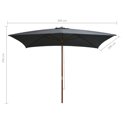 Sonnenschirm mit Holz-Mast 200x300 cm Anthrazit