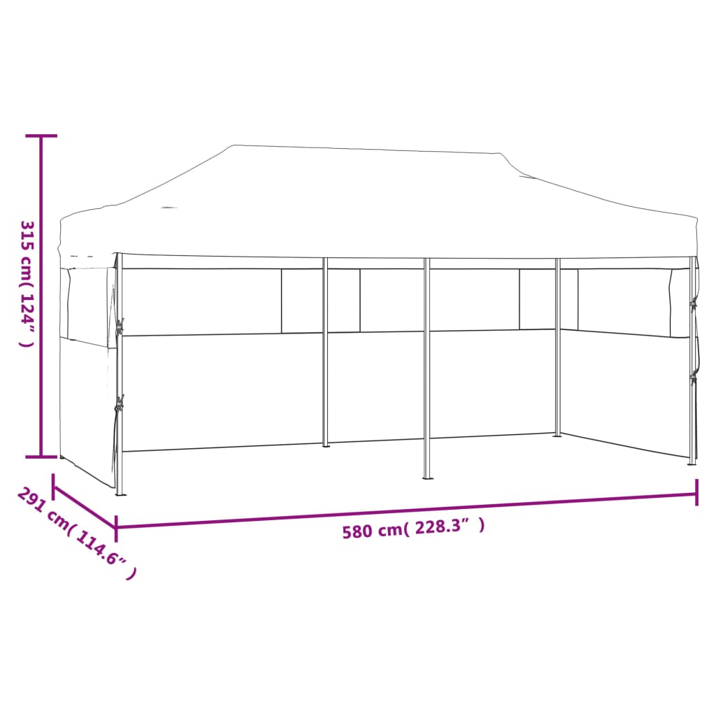 Pop-Up Partyzelt mit Seitenwänden Faltbar 3 x 6 m Anthrazit