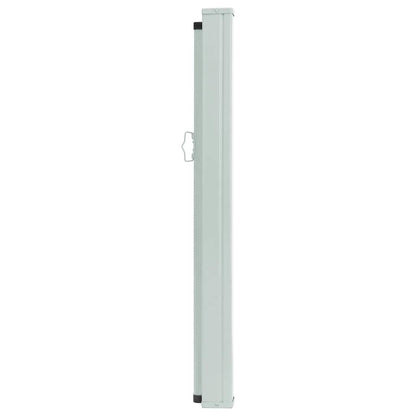 Ausziehbare Seitenmarkise 170×300 cm Grau