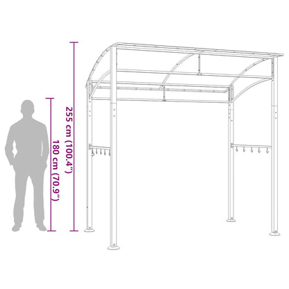 BBQ-Pavillon 215x150x220 cm Anthrazit Stahl
