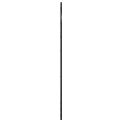 Wandspiegel Schwarz 80x140 cm Gewölbt Eisen