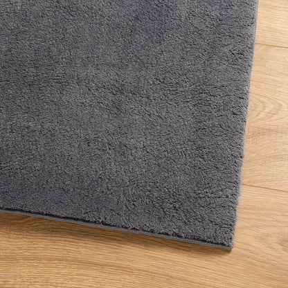 Teppich HUARTE Kurzflor Weich und Waschbar Anthrazit 80x150 cm