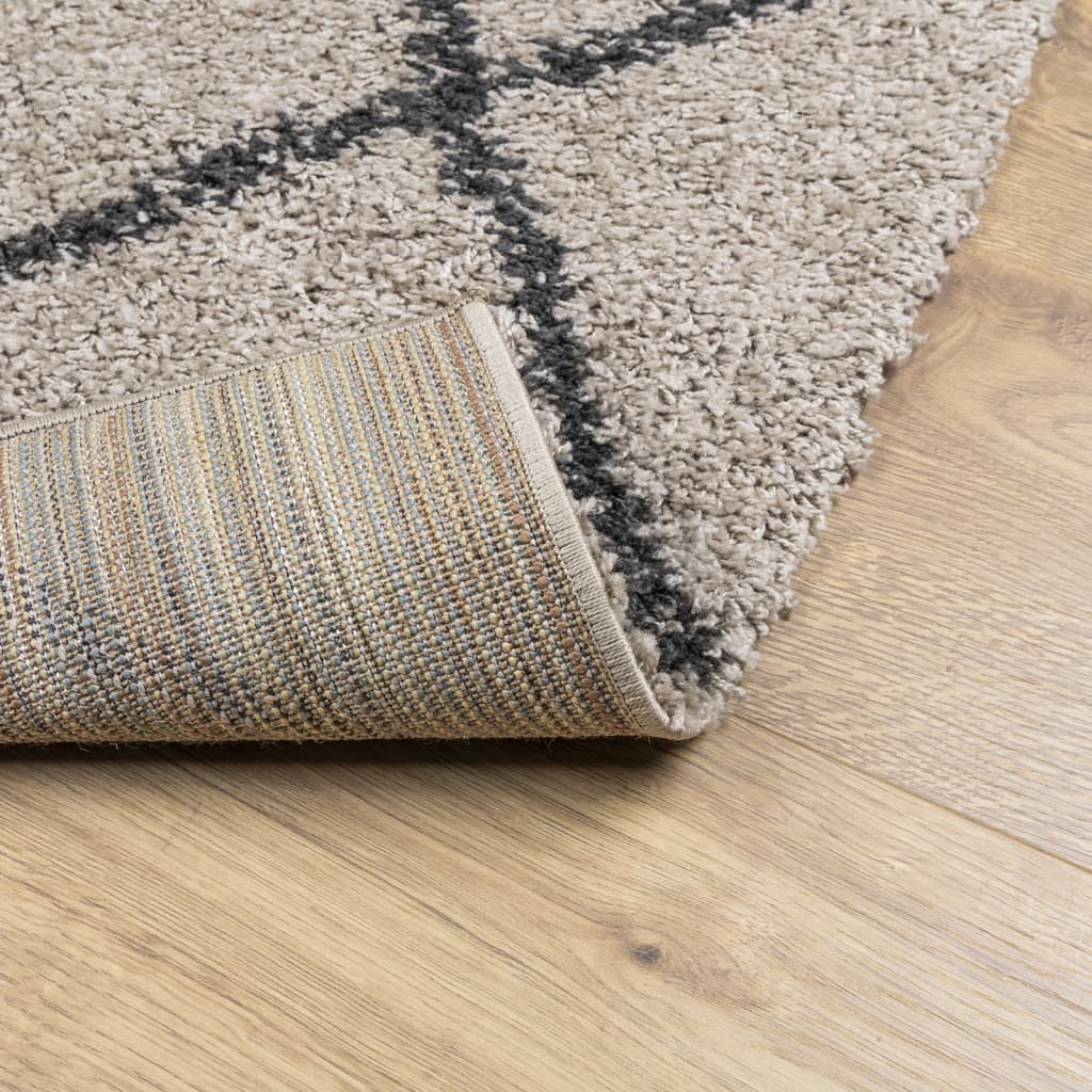 Teppich Shaggy Hochflor Modern Beige und Anthrazit 80x200 cm