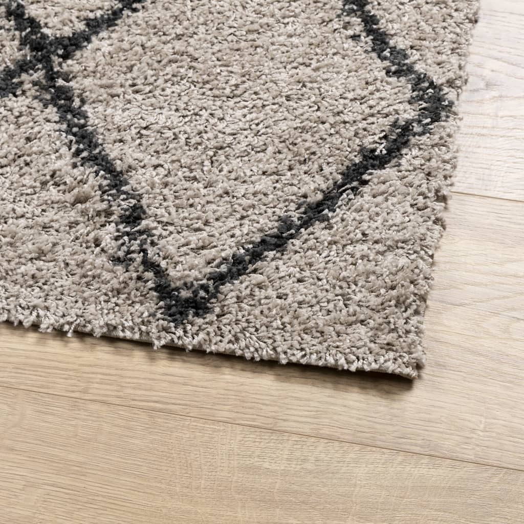 Teppich Shaggy Hochflor Modern Beige und Anthrazit 120x170 cm