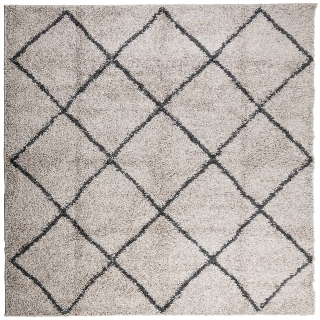 Teppich Shaggy Hochflor Modern Beige und Anthrazit 200x200 cm