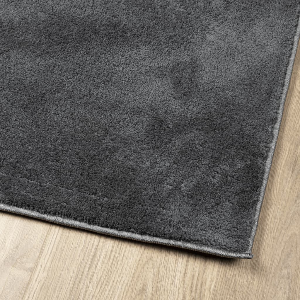 Teppich OVIEDO Kurzflor Anthrazit 240x240 cm
