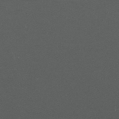 Ausziehbare Seitenmarkise Anthrazit 140x500 cm