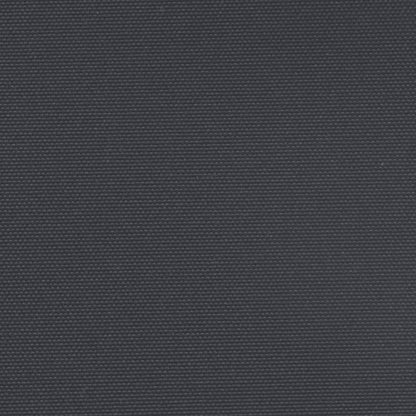 Seitenmarkise Ausziehbar Schwarz 120x1000 cm