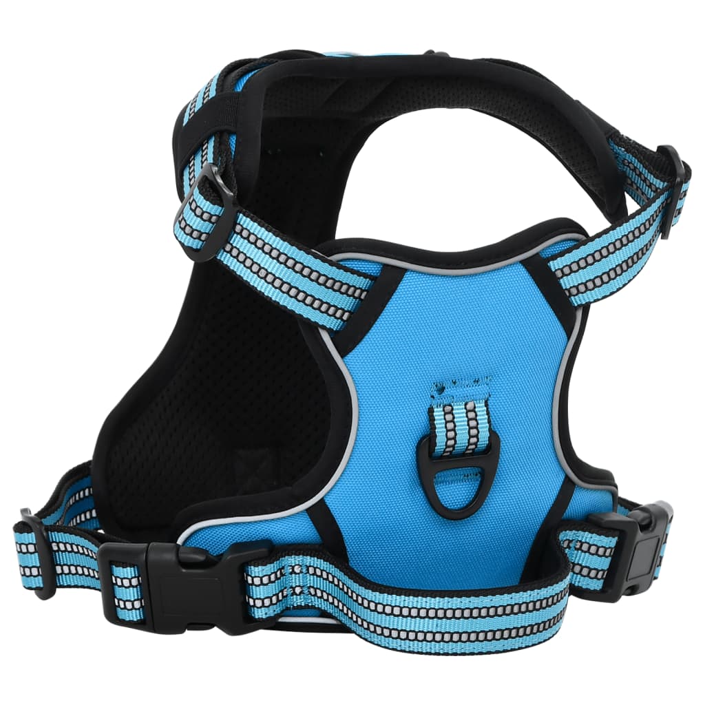 Hundegeschirr mit Leine & Halsband Verstellbar Blau XL