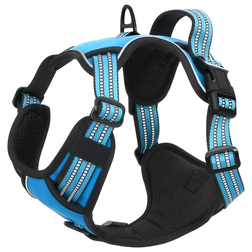 Hundegeschirr mit Leine & Halsband Verstellbar Blau XL