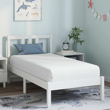 Matratze mit Kokosnusschicht Weiß 80 x 160 cm Taschenfeder