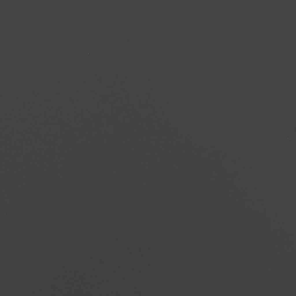 Pflanzkübel Schwarz 280x80x40 cm Stahl