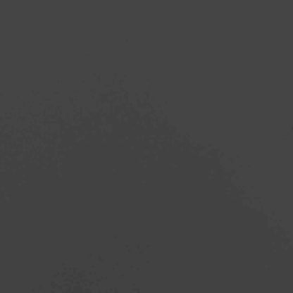 Pflanzkübel Schwarz 280x80x40 cm Stahl