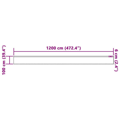 Spitzenvorhang mit Vorhängen Weiß 100 x 1200 cm Polyester