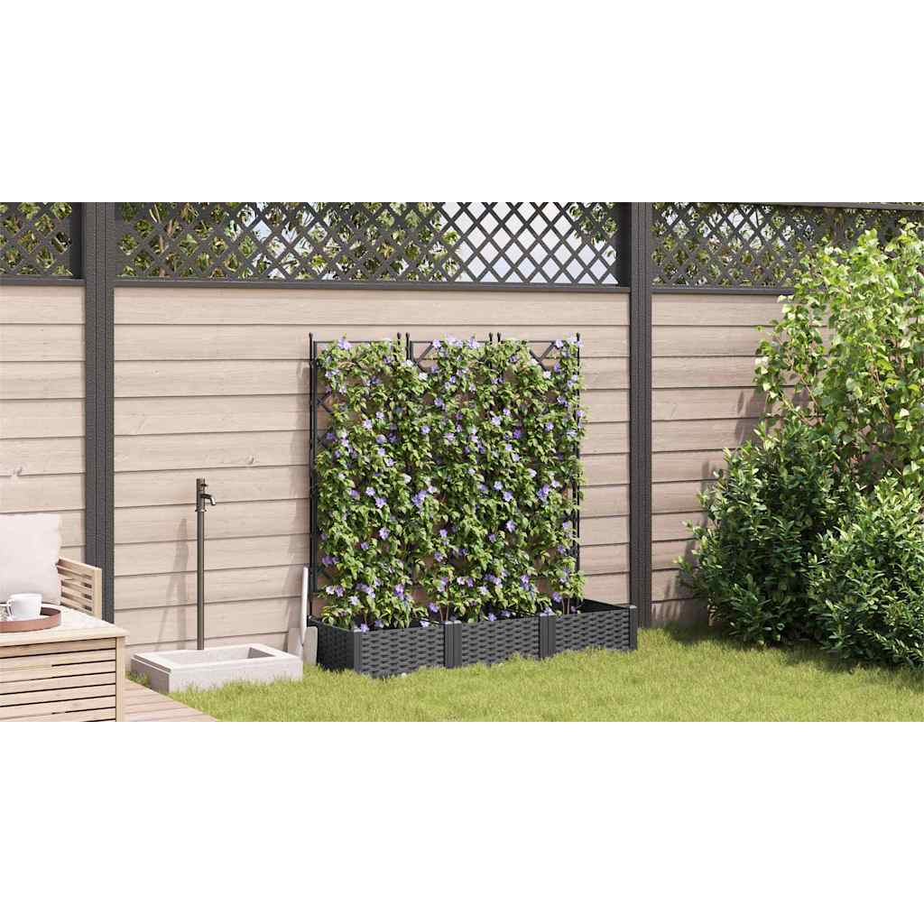 Gartenpflanzer mit Gitter 3 pcs Schwarz 120 x 40 x 125,5 cm PP