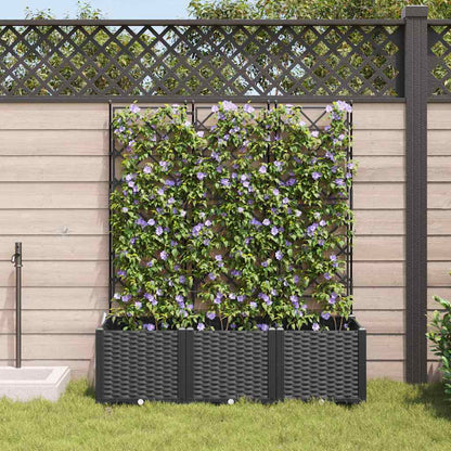 Gartenpflanzer mit Gitter 3 pcs Schwarz 120 x 40 x 143 cm PP