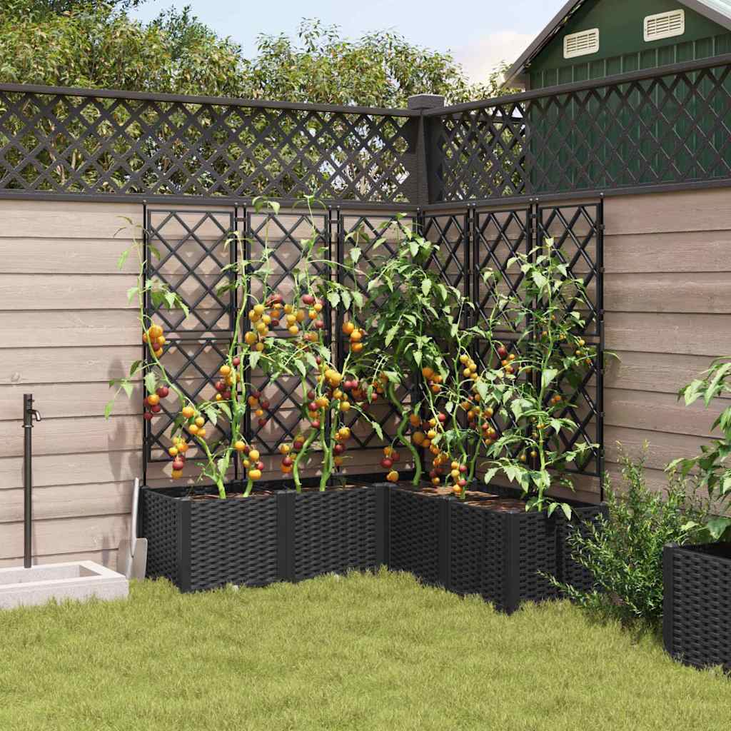 Gartenpflanzer mit Gitter 5 pcs Schwarz 120 x 120 x 143 cm PP