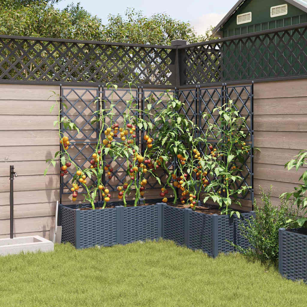 Gartenpflanzer mit Gitter 5 pcs Grau 120 x 120 x 143 cm PP