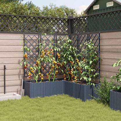 Gartenpflanzer mit Gitter 5 pcs Grau 120 x 120 x 143 cm PP
