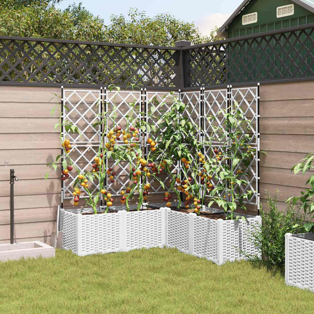 Gartenpflanzer mit Gitter 5 pcs Weiß 120 x 120 x 143 cm PP