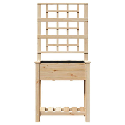 Gartenblumentopf Beige 71 x 38 x 152 cm Massives Fichtenholz