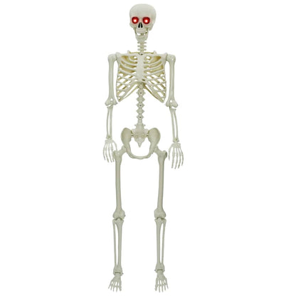 Halloween Skelett Weiß 155 x 38.5 cm Plastik