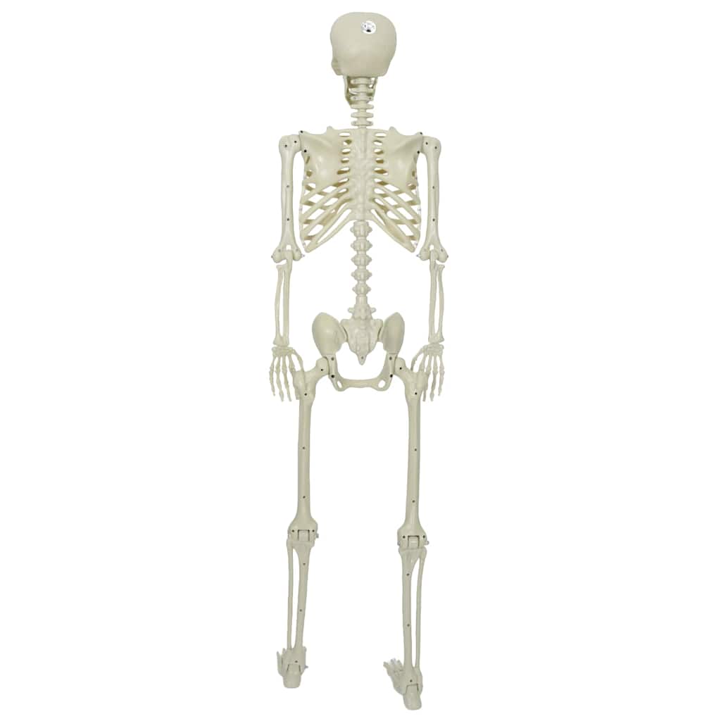 Halloween Skelett Weiß 155 x 38.5 cm Plastik