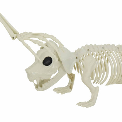 Halloween Dekoskelett 2 pcs Weiß Polypropylen 155 x 38.5 cm