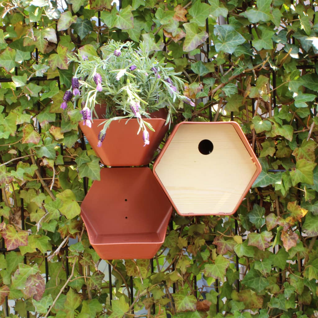 Vogelhäuschen Hive 1 19x23x20 cm Rundes Loch Braun