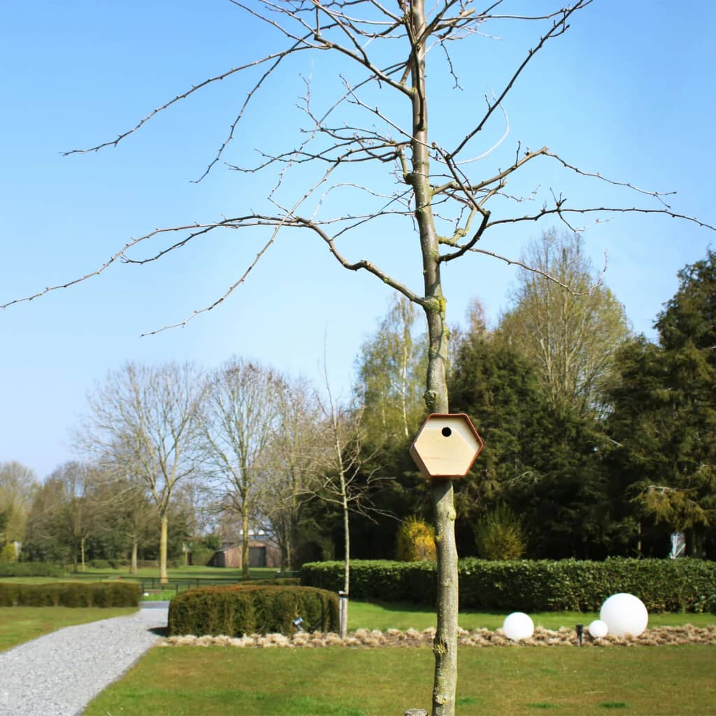Vogelhäuschen Hive 1 19x23x20 cm Rundes Loch Braun