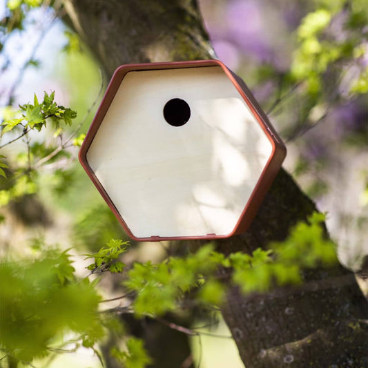 Vogelhäuschen Hive 1 19x23x20 cm Rundes Loch Braun